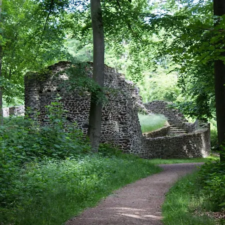 - Am Schlossgarten - Ferienhaus *